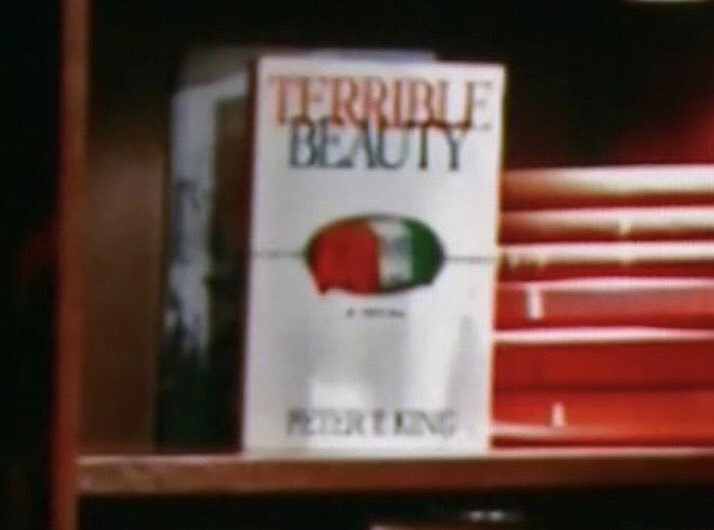 24/ Welcome to the TV Library Nook,  @DeeTwoCents! There’s a lot to do there. You could read  @RepPeteKing’s (R-NY) enchanting novel, “Terrible Beauty.” You can make a movie. You can take a picture with a 1940s era Kodak Brownie. Or you could adopt the cute kids in the photo!