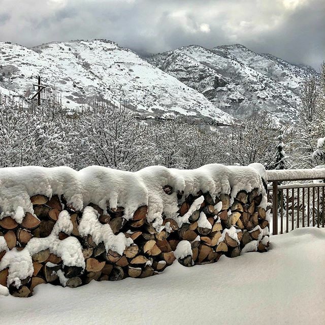 Jack Hadley tweet media