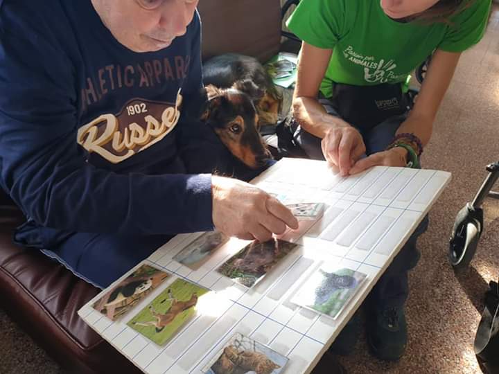 Humanymal's tweet image. Semana bonita de terapia y activismo, semana llena de sonrisas y luz, ¡mucha luz!!! 😊🐶Nuestros beneficiarios, niños, ancianos, enfermos mentales y adolescentesInfinitas gracias a todos y todas, por hacer posible que el planeta Humanymal no deje de brillar 💚 #animales #perros