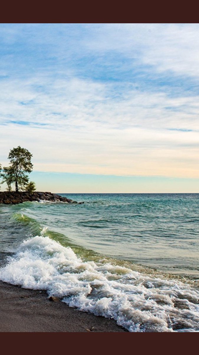 <a href="/Luis12433506/">OK. makey😌</a> @Flopi_Jackson_ <a href="/luzma04042407/">Luz Maria No MD ❌</a> <a href="/Mar7685/">Lorenz AB ⭐❤✨</a> <a href="/gornajur/">Esther Hermoso</a> <a href="/pantroymunra/">Supr Capitán América</a> <a href="/Luna_Om90/">Luna</a> <a href="/AnaRosa48418222/">Ana Rosa</a> <a href="/MeteoroRanger/">Meteoro Ranger</a> <a href="/karamurat39/">karamurat</a> <a href="/solprytz/">Sol</a> <a href="/MayteMayte04041/">Mayte (@Mayte040424)</a> 🌿🌿☘️🌿🙋🏻‍♀️🙋🏻‍♀️mi saludo con mucho cariño para ti también ☘️Luisito 🍃y una Linda tarde de sábado 🌿para tod@s 🌿 querida 😊Familia virtual twitter World 🌱🌴🌱🌴🍁🍂🌿🌴🌱🌴🌿🌴🍀🌿🍂🌿🌴🇻🇪💛💙❤️🙌🙌