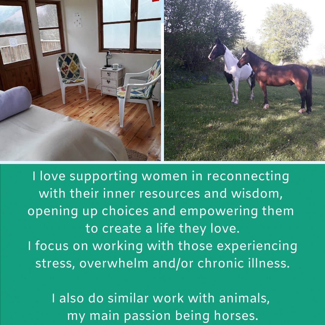 Equenergy: W·I·L·D Wellbeing tweet media