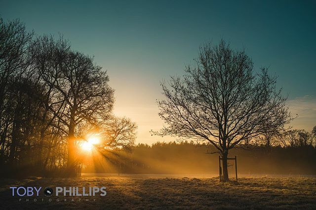 Toby_P_Photo's tweet photo. Lovely early morning walk in #Warnham deer park this morning, we are so lucky to live in such beautiful #countryside. #LeicaSL2, #35summicron and #50mmsummilux  #leica #leicafotos #leicaphotographer https://t.co/8MRuczn7cY https://t.co/HAoscCr2WT