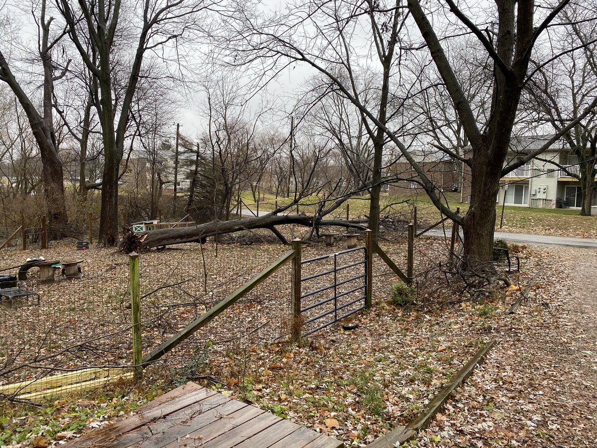 Seth Keever tweet media