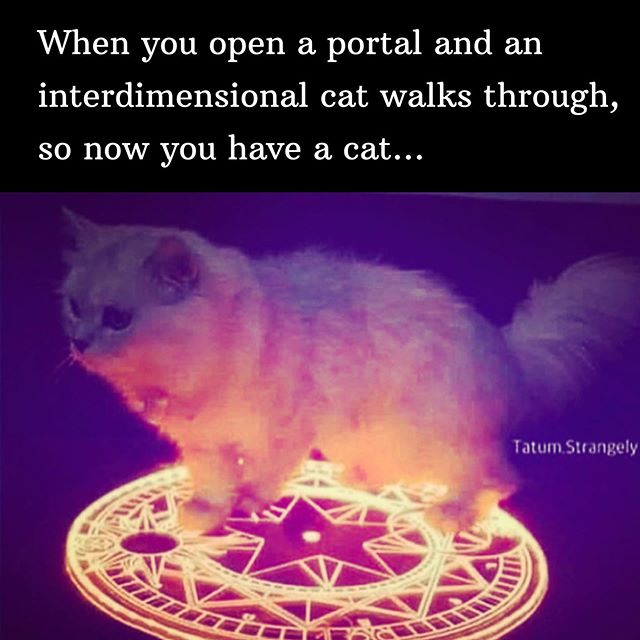 True story! 😹 I painted a magical cat every day for a month, and magical cat aka guardian meow showed up on my doorstep. Now, I have a cat.
🔮
and that was how my Spirit Cats Oracle Deck was born and how my kitty, Lexi, came into my world.
🔮
Now, she is the “Synchronicity” cat