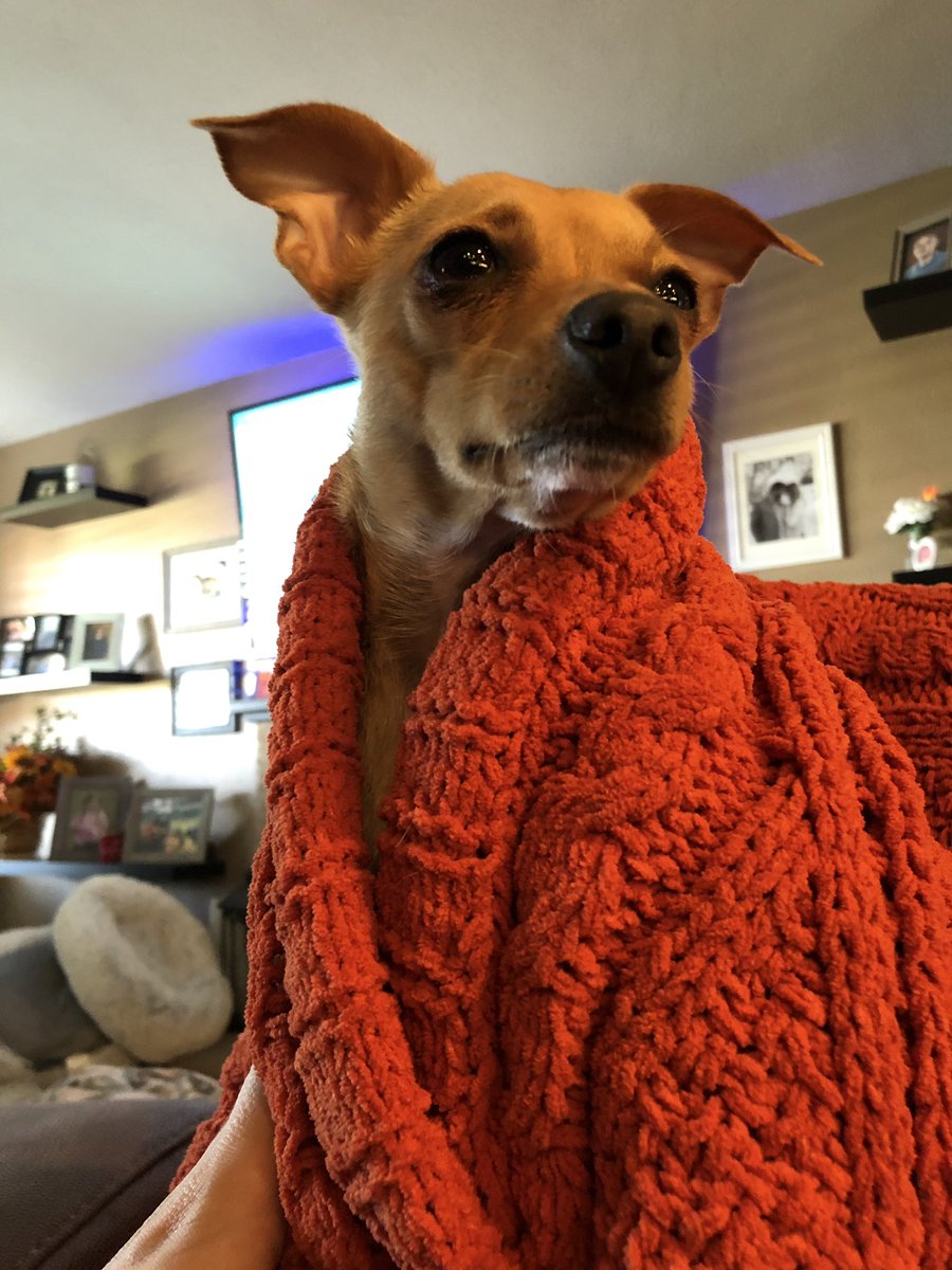 staciejo76's tweet photo. @oscarmayer Our baby needs a new blanket to cuddle up in #cuffoscar + #Sweepstakes https://t.co/iueZlWoSrX