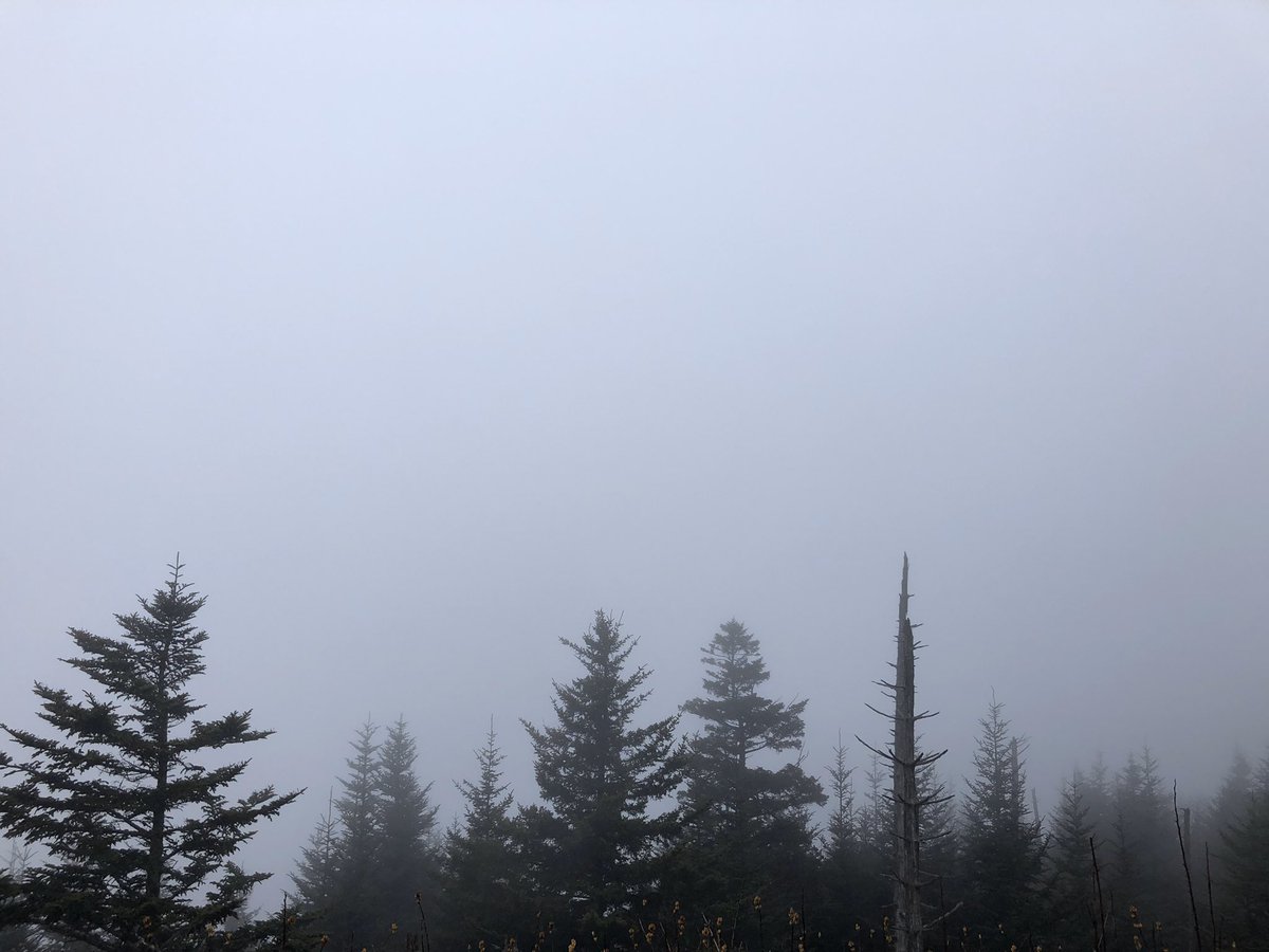 astha_singhal's tweet photo. May be we should stop taking mountain trips in the winter. 🤔 #fogfordays #rainymountains #thanksgivingadventures https://t.co/lrV3lZ9F2w