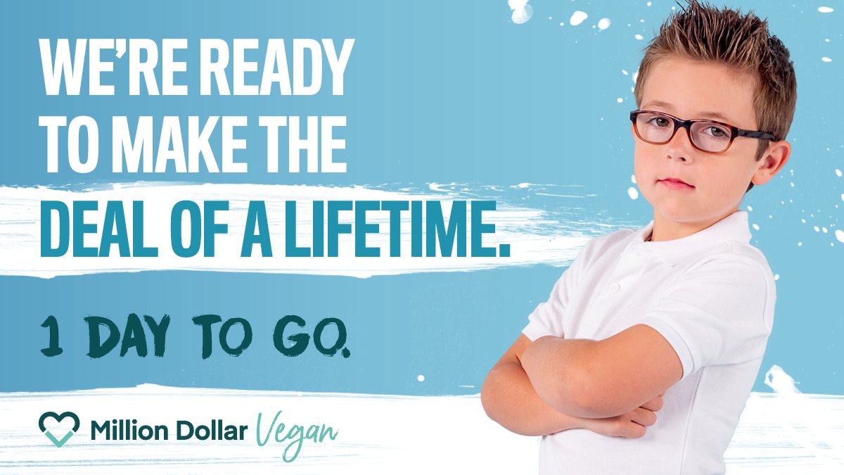 AnimalHeroKids's tweet photo. #AnimalHeroKids and @1mDollarVegan have teamed up for the next campaign which launches tomorrow. Can you guess who we want to make a deal with?

Photo credit @1mDollarVegan
#AninalHeroKidsBook #Kind2All #Educate2Liberate #Vegan #AnimalRights #animalliberation #MillionDollarVegan https://t.co/sz9KcluaPU