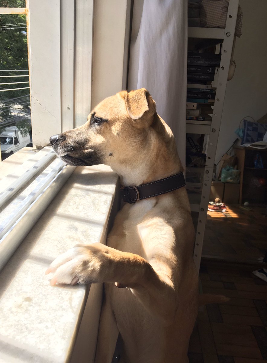 Que Horas Ela Volta? (2015)