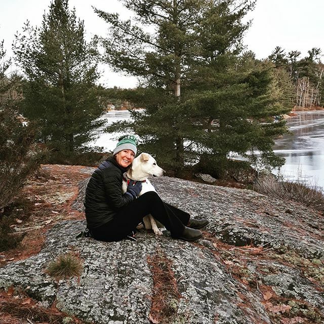 Cottage Life with my foster 🐕 Reuben. So many hiking trails to explore!
#adoptdontshop #cottagelife #muskoka @covetedcanines ift.tt/37UwunC
