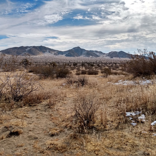 SaddlebackButte's tweet photo. Today at @SaddlebackButte
High will be in the 40's, overnight temperature in the 30's. Light cloud cover and a light breeze. Some snow still hanging on. We have campsites available. #CAStateParks #SaddlebackButte https://t.co/IOxhQBKAKw