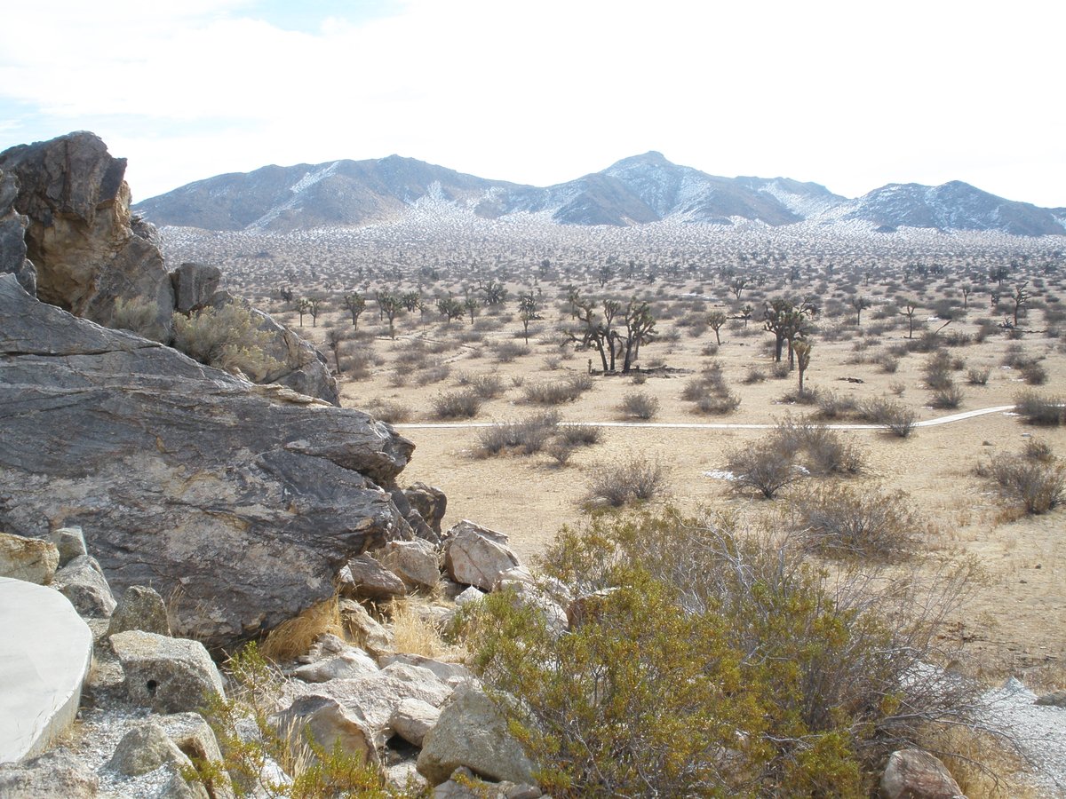 SaddlebackButte's tweet photo. Today at @SaddlebackButte
High will be in the 40's, overnight temperature in the 30's. Light cloud cover and a light breeze. Some snow still hanging on. We have campsites available. #CAStateParks #SaddlebackButte https://t.co/IOxhQBKAKw