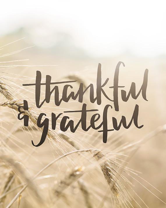 SouthHighAVID's tweet photo. We want to know, what are you thankful and grateful for?!? Retweet with your answer or put it in the comments💛🧡 #alwayssomethingtobethankfulfor #spreadpositivity https://t.co/fAzUdZQplr