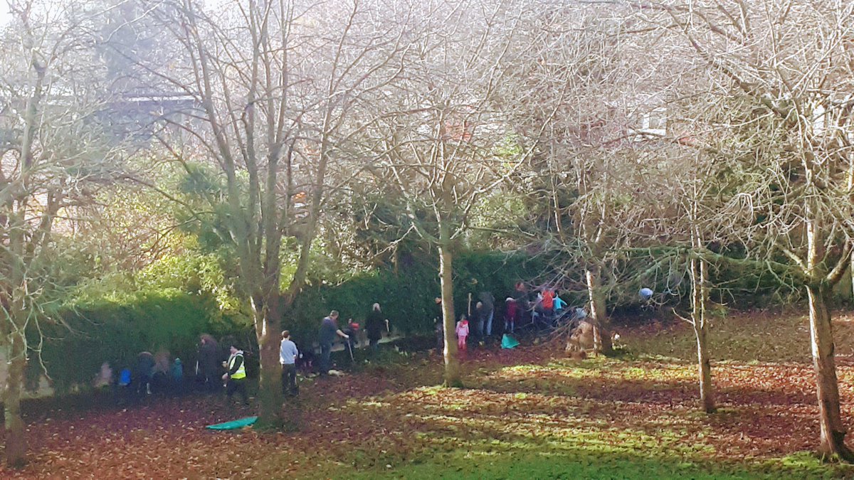 spacedapenguin's tweet photo. Today I was one of over 100 people planting over 800 trees into 230m hedge around Harvard Hill Park alongside the A4.Willow arches &amp; bulbs &amp; community making life better in London. Fantastic organisation from the new Friends group #NationalParkCity #NationalTreeWeek #PlantATree https://t.co/kenTM7ezlN