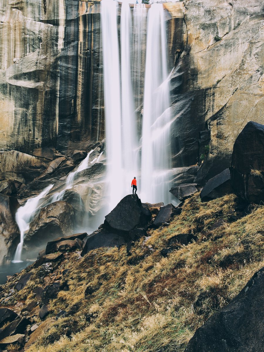 vsco tweet picture
