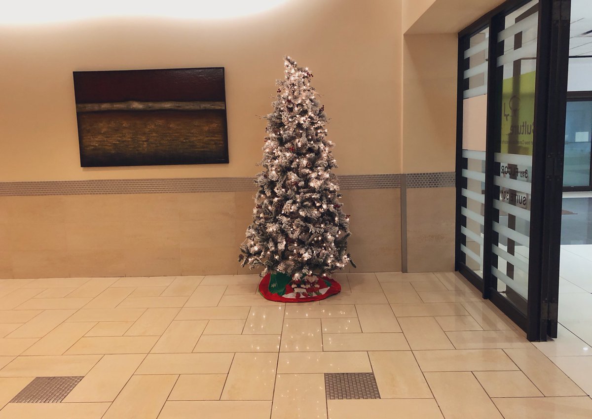 The Crossways office tree. A tree that meets all your modern lifestyle needs. Gilded with snow dust, this tree is a throwback to the airbrushed 1980s. The Crossways has made a subway /  @UPexpress direct connection difficult, but this tree is innocent. As are all trees. 12/10 – at  The Crossways