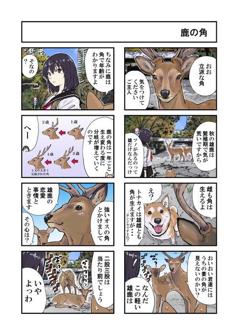 お風呂入れたらイッキに抜けました 何食わぬ顔で佇む柴犬に反響 飼い主に聞く愛犬との暮らし Eltha エルザ
