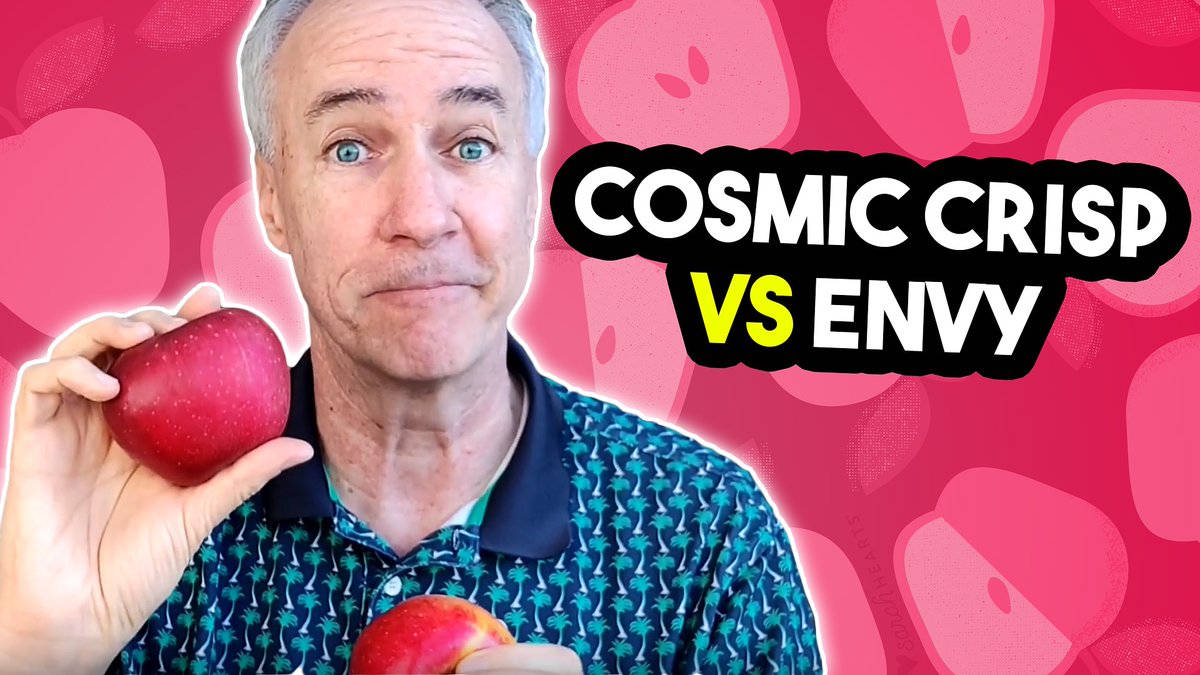 There is a new apple in town- the Cosmic Crisp!  I taste test the Cosmic Crisp and compare it to my favorite apple the Envy.  New video up- 
youtu.be/Dg0jaXHYeuM
#cosmicrisp #cosmiccrispapple #apple #apples #parristx