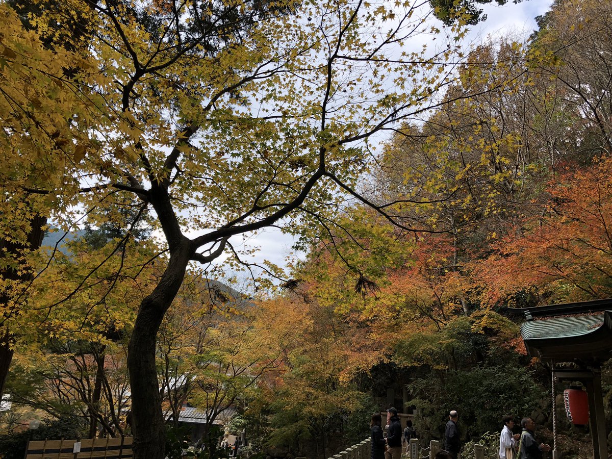 南蔵院行ってきた!! 