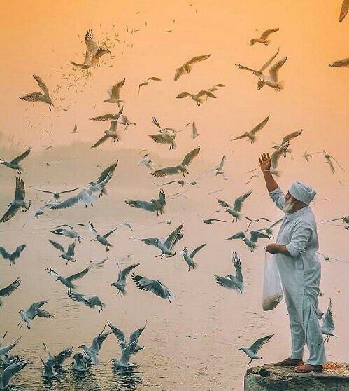 #يخبرني_الصباح 
••
ومع الفجرِ يبعثُ اللهُ الحياةَ من جديد
تُشرقُ الشمس .. تنبتُ الأزهارً 
يزهرُ ربيعُ الحياة .. تعود الاحلام والابتسامة