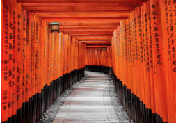 El Rancho Gadabouts tweet media