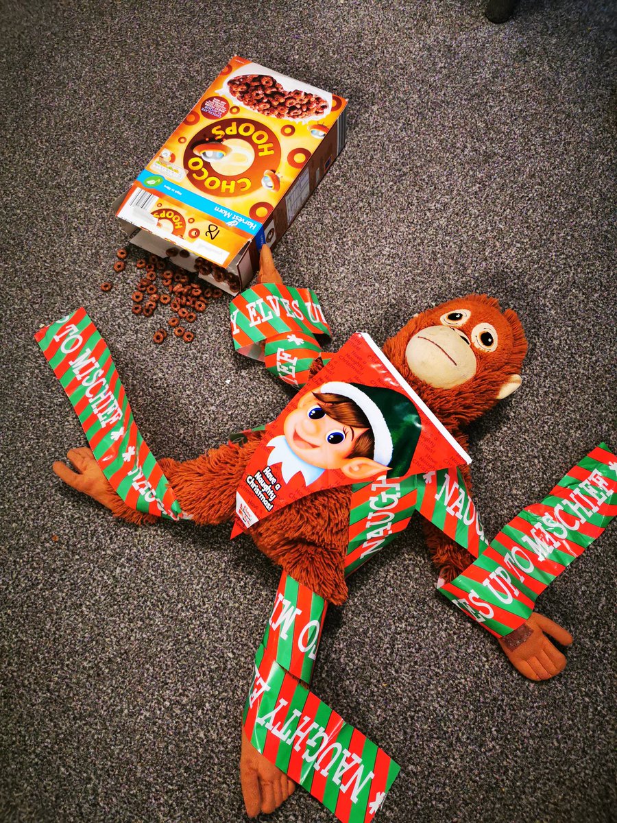 dmg_74's tweet photo. @NorbridgeRobins seems like Oliver has been a naughty monkey while pria and jayden are asleep or is it the elves???? https://t.co/A0CCyFfk7i