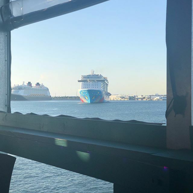 lvatty's tweet image. Sailaway watching before race tomorrow #cruise #fishlips ift.tt/2DvLHxn