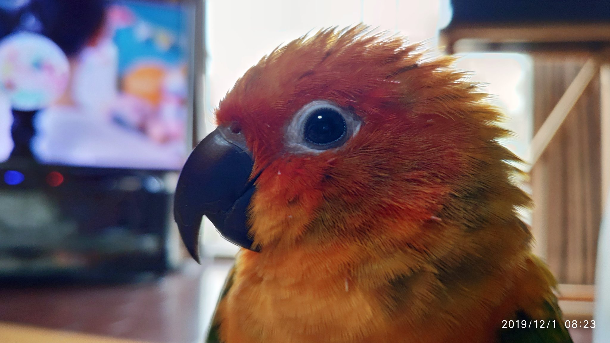 (*´╰︎╯︎`๓)♬︎ニコニコさん artworks-ocCcGNNQ24MI3Kr7-