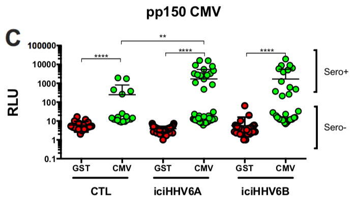 Not just retroviruses. A new study by <a href="/GreningerLab/">Greninger Lab</a> <a href="/UWVirology/">UW Virology</a> and Louis Flamand <a href="/universitelaval/">Université Laval</a> found that 1% humans have genomically integrated #HHV-6, which is expressed in the brain. HHV-6+ people mount higher Ab responses to #CMV 👇🏽 #Virome 

jvi.asm.org/content/early/…
