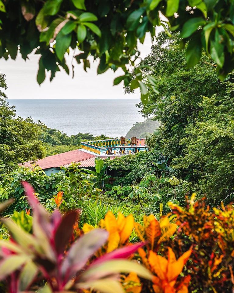 LilaFlowYoga's tweet photo. Our little piece of #YTT #paradise 🥰 📸 @jtsuhar ✨ APPLY TODAY  https://t.co/4F1yLDzcT7 ✨ #lilaflowyoga #lilaflow #yogateachertraining #costarica #nosara #jungle #ocean #flowers https://t.co/ctl8JTRgsq