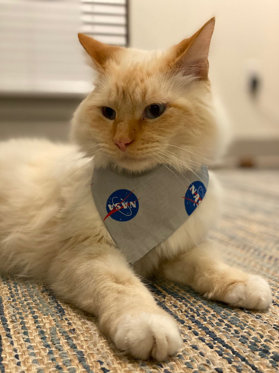 He’s wearing this because he loves space and NOT because he lacks the opposable thumbs to remove it