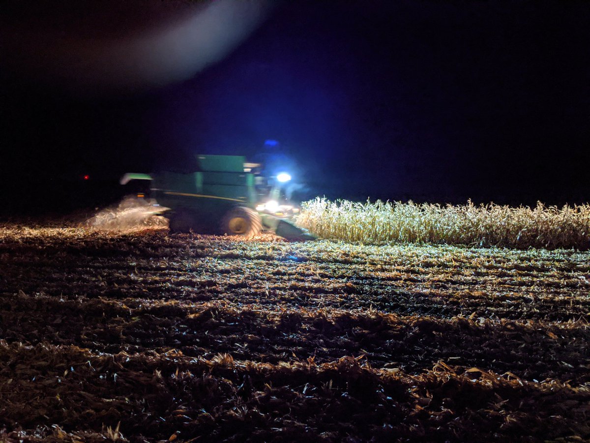 Final pass of an excruciatingly long #Harvest19 and my dad says: "Who can we help tonight?" #OntAg #72AndWillWorkAllOfUsUnderTheTable