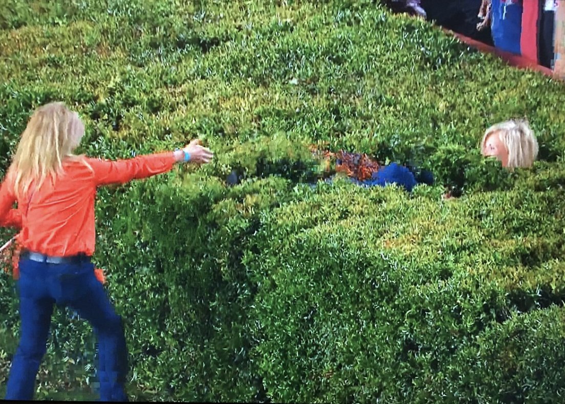 BleacherReport's tweet image. Fan got stuck in a bush trying to rush the field after Auburn’s Iron Bowl win over Bama 👀