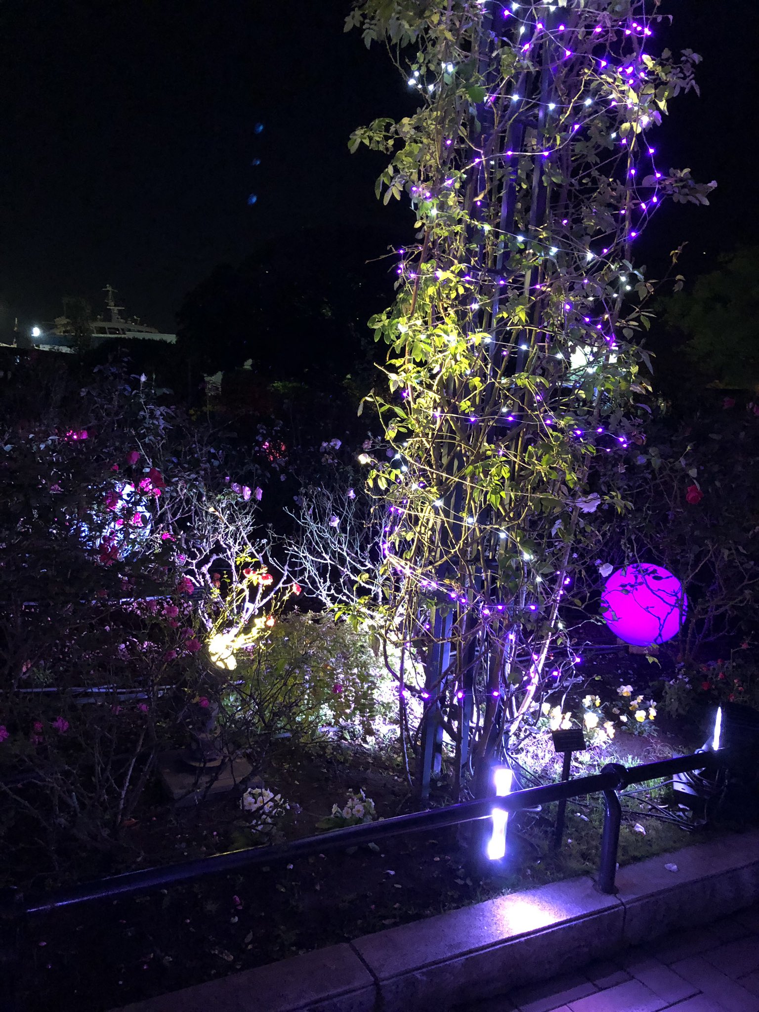 山下公園イルミネーション Twitter Search Twitter