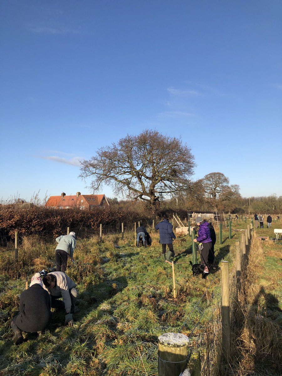 Our village of only 220 homes, achieved something extraordinary in the past few days.
Together, we’ve planted 145 trees. That’s 1 tree for every 1.5 homes  🏠 🌲 🏠 🌳 🏠 
#everytreecounts #bigclimatefightback #plantattree @WoodlandTrust @ChrisGPackham