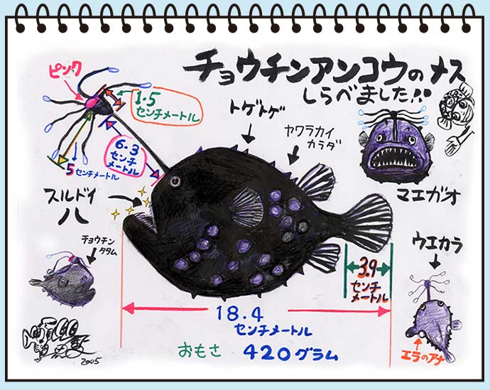 みんなの藤壺 チョウチンアンコウ さかなクンさんのイラストが分かりやすいな 子ども科学電話相談