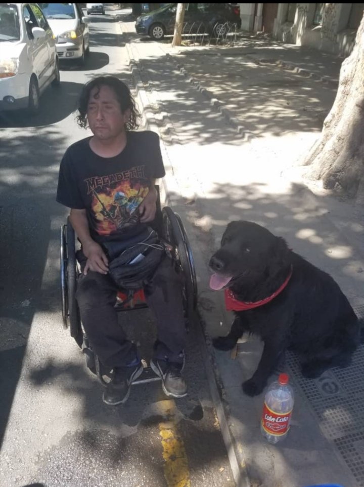 Chilena9772's tweet image. Me piden ayuda por wsp 👇👇👇
En #Santiago Se necesita ayuda urgente  para el perrito de este sr. 
Él no tiene hogar y será internado x su enfermedad.
Y no tiene donde dejar a su perrito x ese tiempo. Urgente sólo espera poder dejar a su perrito resguardado para internarse. 🙏RT