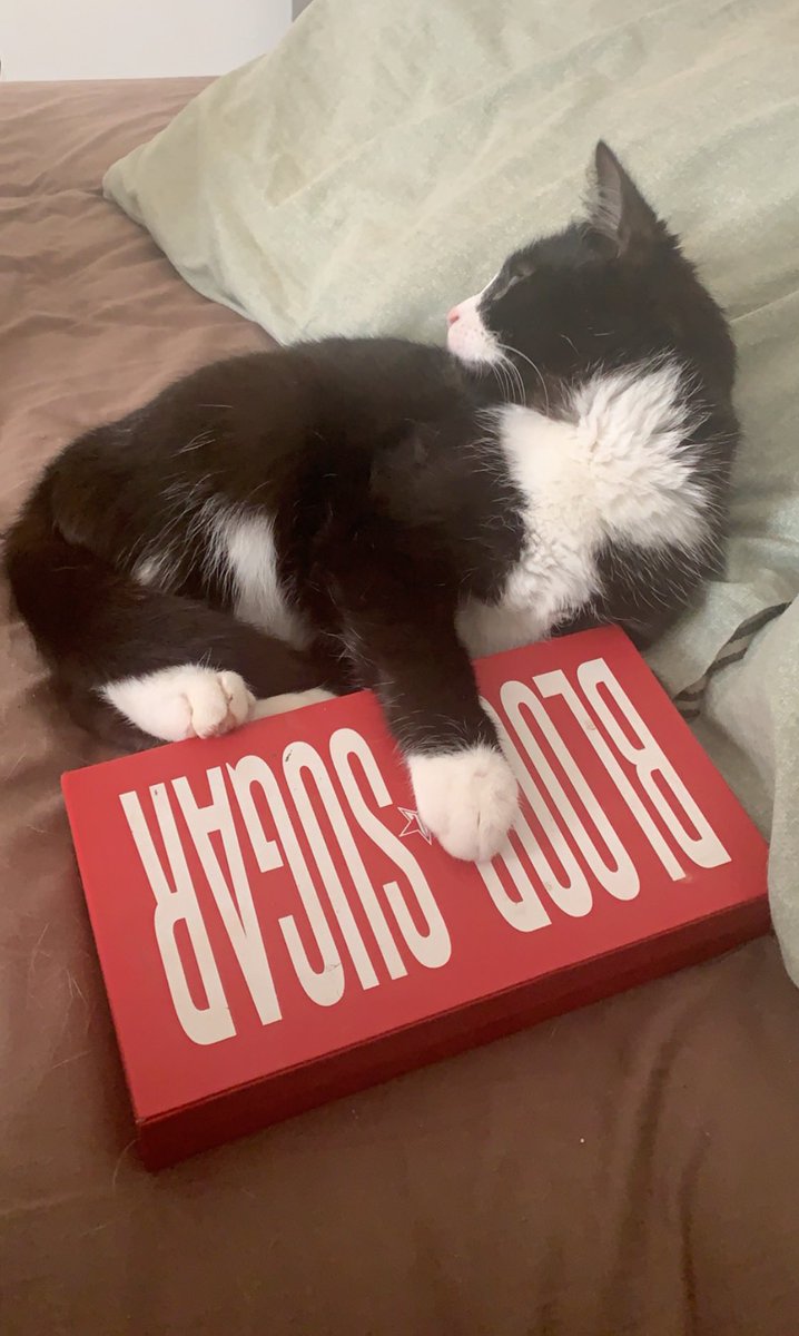 Di__maree's tweet image. If I touch the palette I get swiped at.... @JeffreeStar