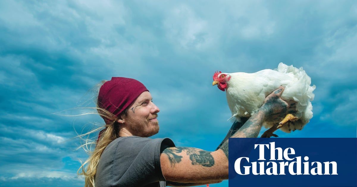 ForageGoodLocal's tweet image. Chickens rule: why the backyard chook is the pet of the decade buff.ly/2rAiuyL