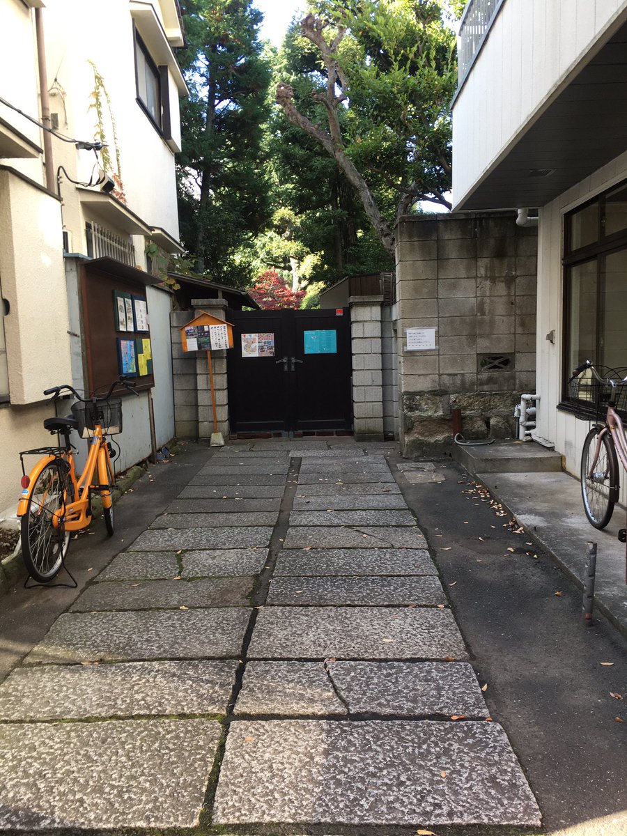 soygirl79's tweet photo. 今日dodoを観に来てくださる方、仲町の家の入り口はこんな感じで入るとこんな感じです！すごくいい。。。 https://t.co/PXrN4see2N