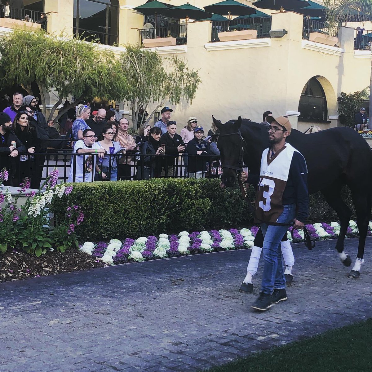 CourtneyPoole00's tweet photo. We got 2nd today on Tiz thank you @VictorEspinoza #TeamMandella @MyRacehorse We got this next time it was an amazing race. https://t.co/Px245ztC8I
