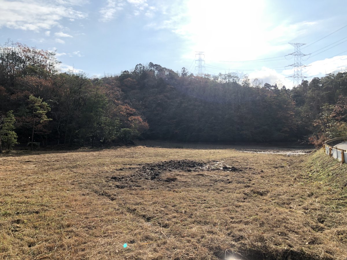 MGeopa's tweet photo. 今日はカキツバタを守る会の年2回の保全活動でした
来春の美しい花を想像しながら
約20人でカキツバタの群生地が綺麗になりました♪
#花 #華 #美祢市 #美東町 #山口県 #カキツバタ #植物 #杜若 #保全活動 #群生 #冬 #Flower #Mine #Mito #Yamaguchi #Kakitsubata #Conservationactivities #winter https://t.co/mcK8j69bNJ