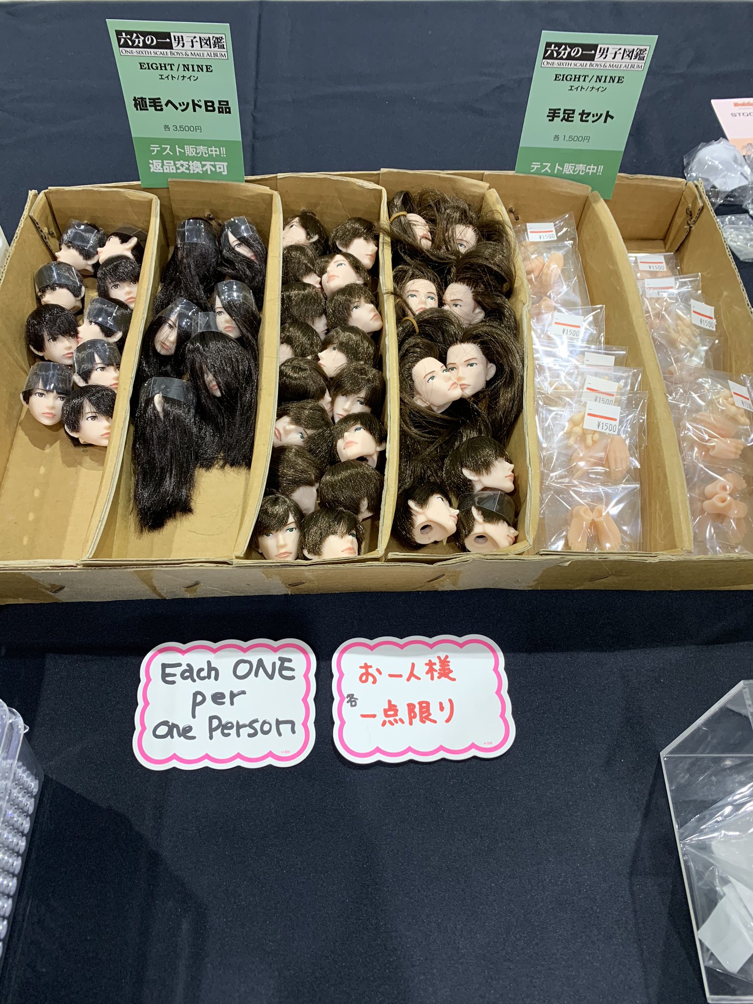 六分の一男子図鑑 エイト 植毛済ブランクヘッド ブラック