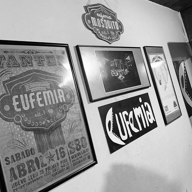 Quiquesan's tweet image. #eufemia #eufemicos #ensayos #Mosquito