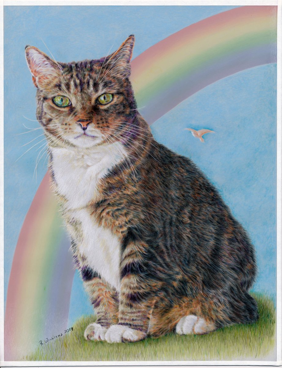 “Somewhere Over the Rainbow Bridge”
Memorial picture I drew of my Dixie. She passed on March 2 this year.
#CatsOfTwitter #catlovers