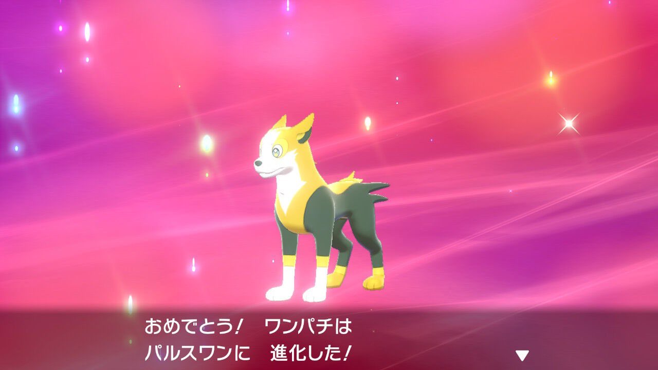 تويتر バカマンコ殺戮パニッシャー على تويتر たねポケモンのワンパチばっか注目されてるけど進化系のパルスワンもただの黄色い犬すぎてウケるな T Co Pnwqhq1w7j تويتر バカマンコ殺戮パニッシャー على تويتر たねポケモンのワンパチばっか注目されてるけど進化系のパルスワンもただの黄色い犬すぎてウケるな T Co Pnwqhq1w7j