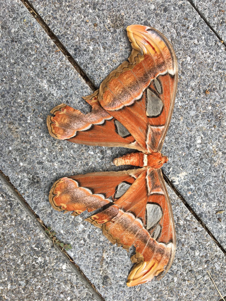 LearningEy's tweet image. The power of observation and the value of questioning and listening.