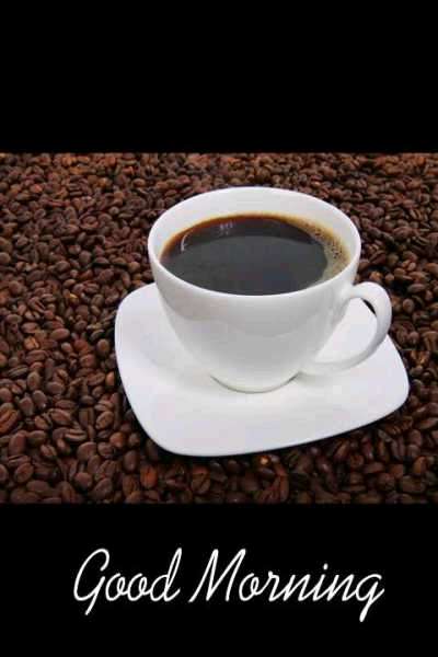 Abu Alamr (@alamr_abu) on Twitter photo 