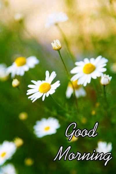 Abu Alamr (@alamr_abu) on Twitter photo 