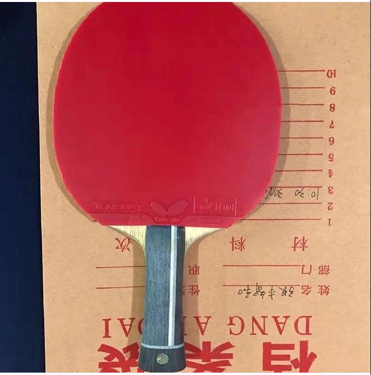 激安な 極美品‼️早い者勝ち❗️張本ALC+ディグニクス05❗️ その他