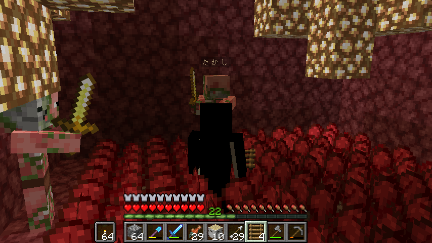 Jake 異世界からお客さんがやってきたのでプチネザーに招待した 俺の村の最初の村人です 名札つけておけば消えないんだよね